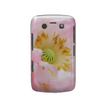 Papoila cor-de-rosa etéreo capa blackberry
