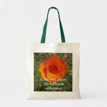 Papoila dourada de Califórnia, papoila de Califórn Bolsa
