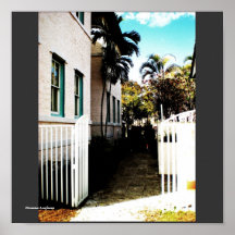 Paraíso Pôsteres