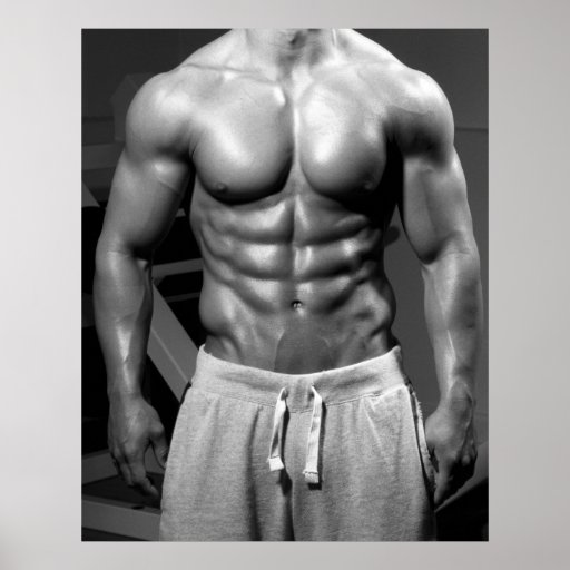 Parede do Gym do Bodybuilder & poster #25 do healt