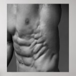 Parede do Gym & poster #56567 do health club