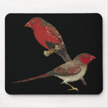 Pares carmesins do passarinho (preto-inchado) mouse pads