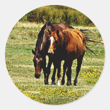 Pares dos "melhores amigos" - de cavalos adesivos