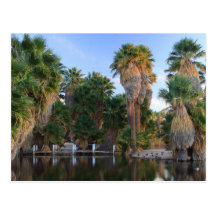 Parque de Caliente da água Cartoes Postais