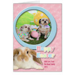 Páscoa - Shih Tzu - clementina e Winston Cartoes