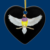 passarinho de Gouldian da Alaranjado-cabeça - goul ornamentos