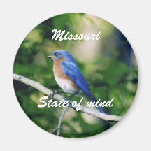 Pássaro azul, Missouri, estado de ânimo Imã