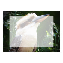 pássaro contra Kookaburra verde convites
