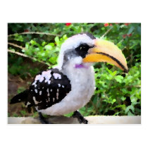 pássaro da pintura do hornbill lateralmente cartées postais