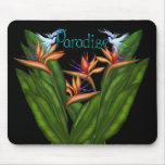 Pássaro de paraíso Mousepad