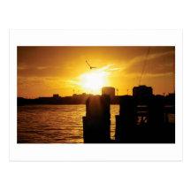 Pássaro e por do sol cartões postais