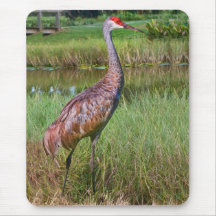 Pássaro Mousepad do guindaste de Sandhill