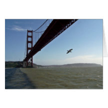 Pássaro sob golden gate bridge cartoes