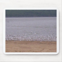 Pássaros da praia mousepads