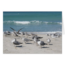pássaros na praia do oceano cartões