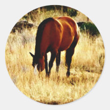 Pastando o cavalo adesivos em formato redondos