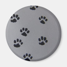 Patas do filhote de cachorro imas