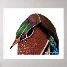 Pato de madeira do pinguim impressão