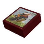 Pato de mandarino de riso porta trecos