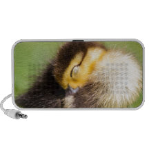 Pato do sono caixinhas de som para pc