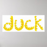 Pato Poster