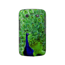 Pavão colorido do vintage capa blackberry Case-Mate