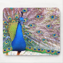 Pavão Mousepad