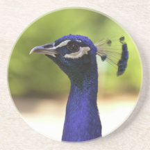 Pavão Porta Copos Para Bebidas