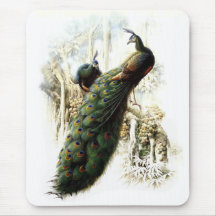Pavões de descanso mouse pad
