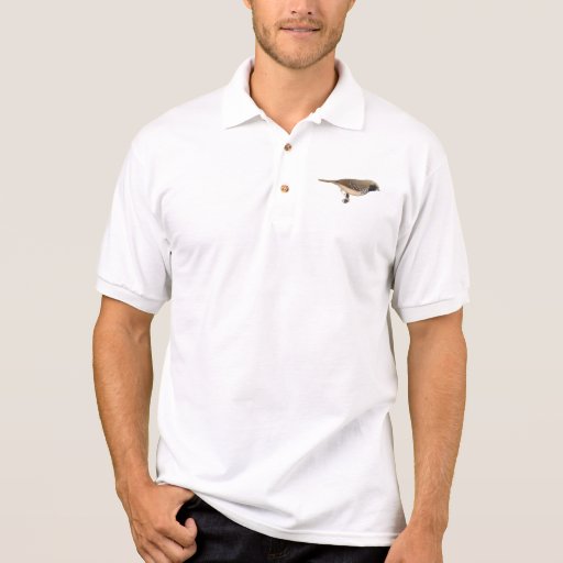 Pectoralis de Pictorella Mannikin - de Heteromunia T-shirts