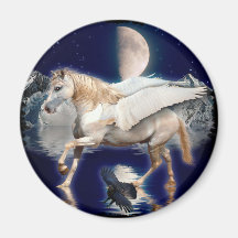 PEGASUS & CORVO PRETO IMÃS DE REFRIGERADOR