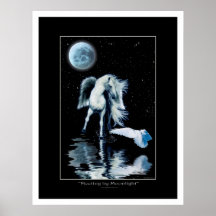 PEGASUS & poster BRANCO da fantasia do CORVO
