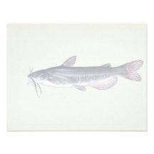 Peixe-gato branco convite personalizado
