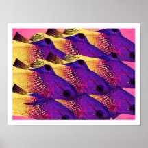 'Peixes 6,2' Posteres