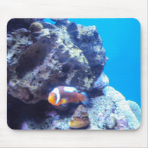 Peixes alaranjados mouse pads