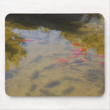 Peixes alaranjados na lagoa de agua potável mouse pads