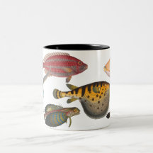 Peixes Canecas