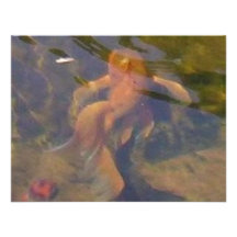 Peixes de Koi Convites