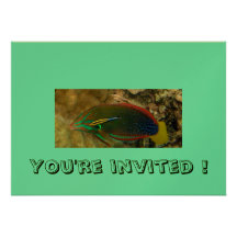 Peixes do Wrasse, você é convidado! Convite Personalizados
