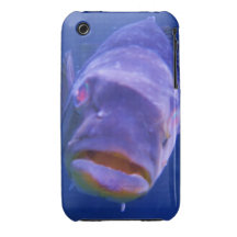 Peixes grandes iPhone 3 capas