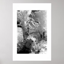 Peixes no Jardim do Éden Poster