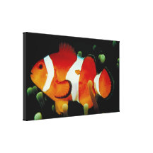 Peixes tropicais impressão em tela canvas