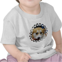 pembroke-welsh-corgi-4.jpg t-shirts