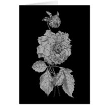 Peônia de prata no cartão floral preto da arte