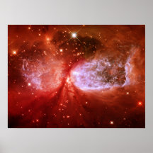 Phoenix Poster
