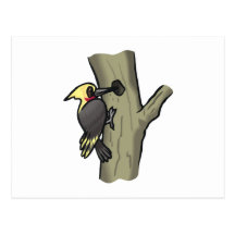 Pica-pau Wheezy Cartoes Postais