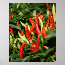 Pimentas Poster