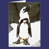 Pinguim postais