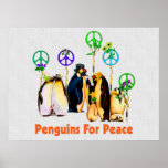 Pinguins da paz poster