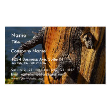 Pinho velho em Yosemite Modelo Cartões De Visitas